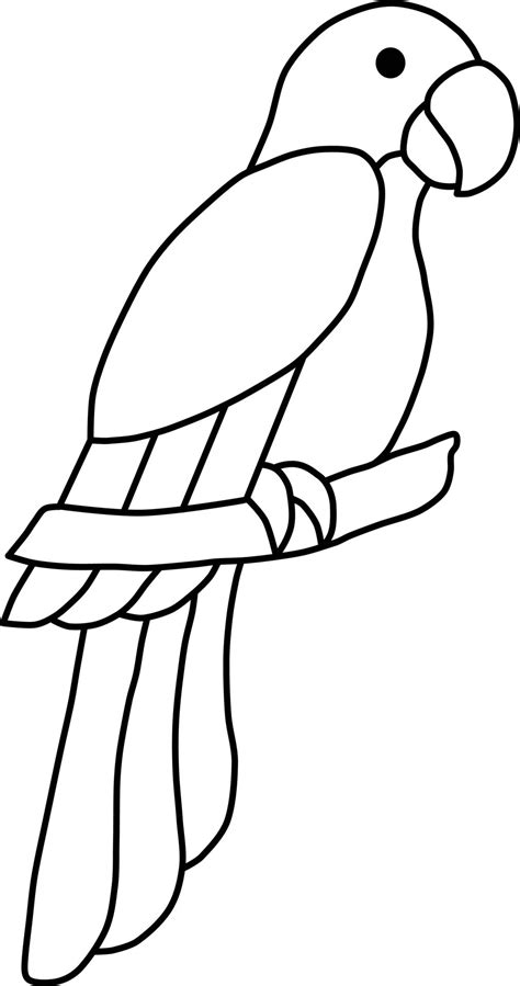 sencillo clipart estilo loro contorno icono 22780633 Vector en Vecteezy