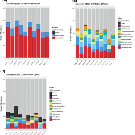 Relative Abundance Of The Fungal Phylum A Class B And Genus C