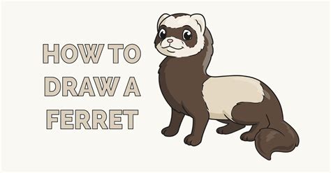 How To Draw A Ferret Really Easy Drawing Tutorial