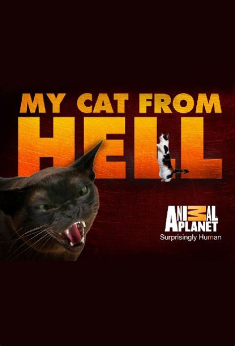 My Cat From Hell - TheTVDB.com