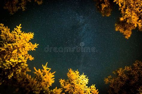 Summer Night Sky with Stars and Milky Way Stock Photo - Image of ...