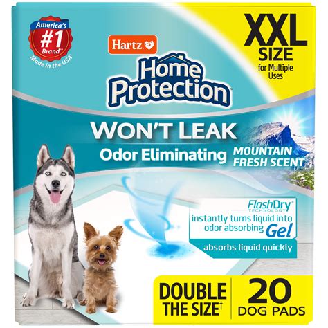Can Dogs Smell Edibles Gummies