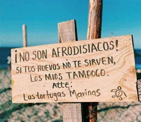 Aviso Importante A La Meme