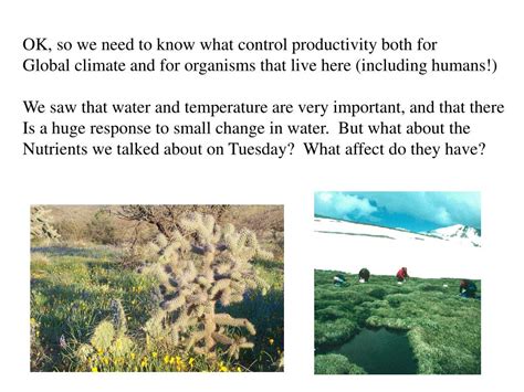 ecosystem type net primary productivity powerpoint