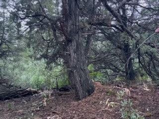 Pissing In The Mountains Pornhub Gay