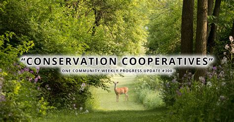 efficient ways conservation cooperatives