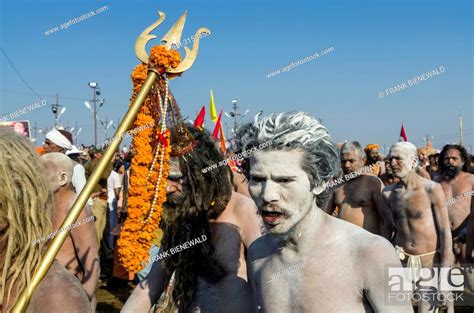 Crowds Of Naked Naga Sadhus Holy Men Participating In The Procession