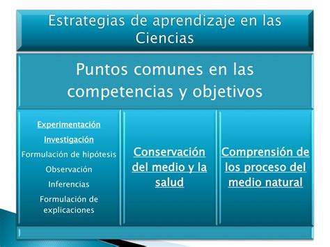 Ppt “estrategias De Aprendizaje En Las Ciencias” Powerpoint Presentation Id968829