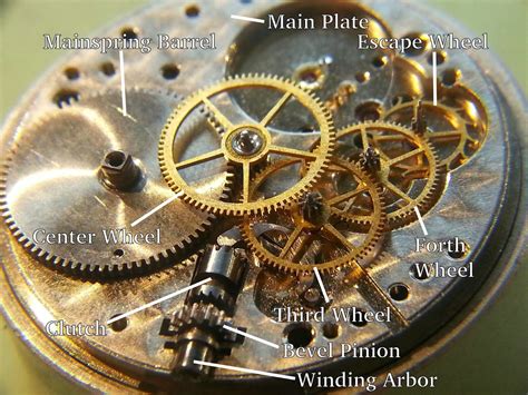 Diagram Watch Parts