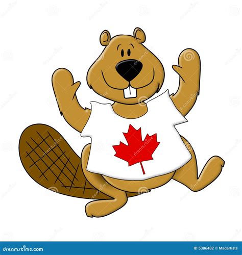 Canada Day Beaver Wearing T Shirt Stock Illustration Illustration Of