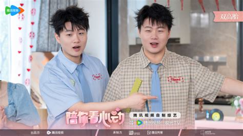 双高胎百度百科