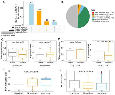 Regulatory Patterns Of Lncrna Aberrant Methylation In Gbm A The