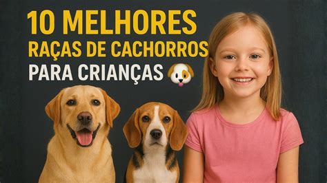 Melhores Cachorros Para Crianças - 10 melhores RAÇAS DE CACHORROS PARA CRIANÇAS 🐶👧🏼 - YouTube