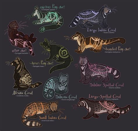 Viverrids - Terrestrial Civets by Aphrael7 on DeviantArt