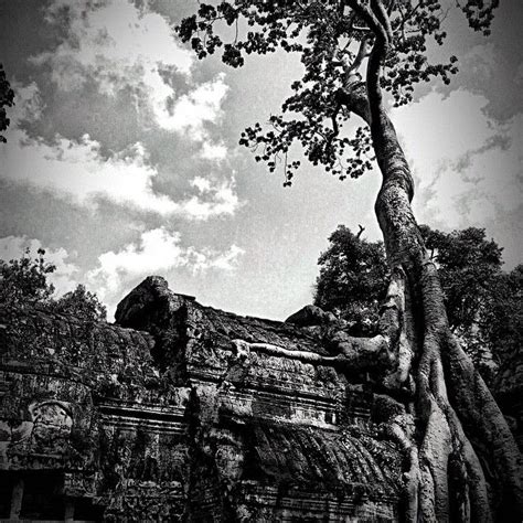 Lance Navarro Sex Coach Escort Massage Sex Therapy