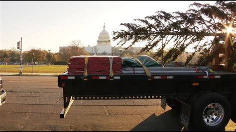 US Capitol Christmas Tree Arrives In DC For The Holiday Season