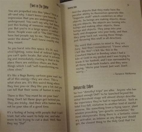 The lost terence kemp mckenna recording that was finally found 18