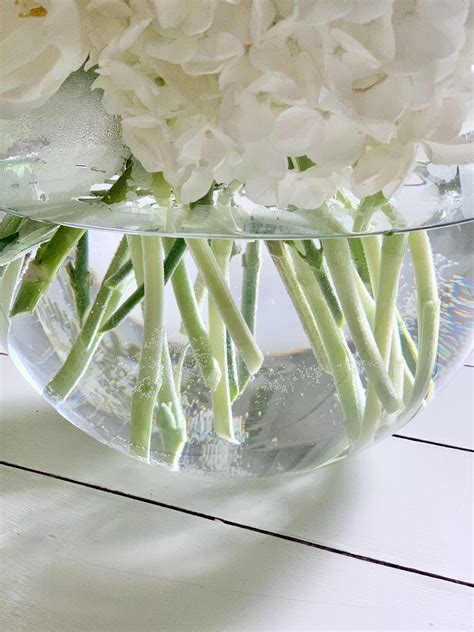cut peony flowers 5