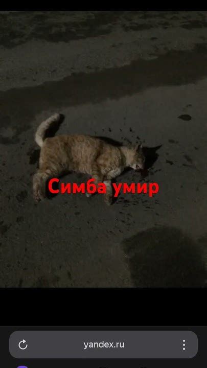 Симба умир😭😭😭😭😭😭 - YouTube