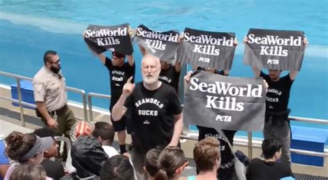 Volvieron A Arrestar Al Actor De Babe El Cerdito Valiente Por Una