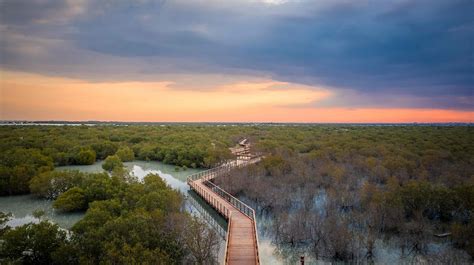 jubail mangrove park event venue abu dhabi