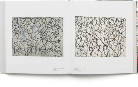 BRICE MARDEN Plane Image A Brice Marden Retrospective Matthew Marks