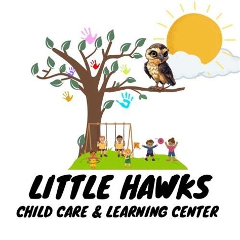 Spark Curiosity: Little Hawks Early Learning Center’s Playful Approach to Growth