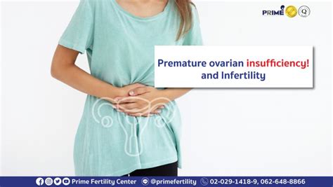 Premature Ovarian Insufficiency And Infertility Prime Fertility Center