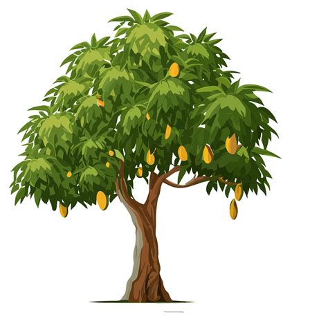 mango tree variety