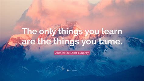 Antoine de Saint-Exupéry Quote: “The only things you learn are the