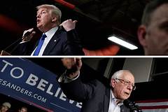 Did adam sandler vote for trump rumors impact his fan base