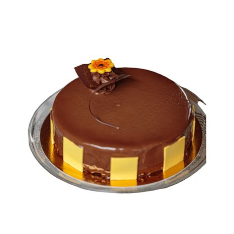 tort animal 4