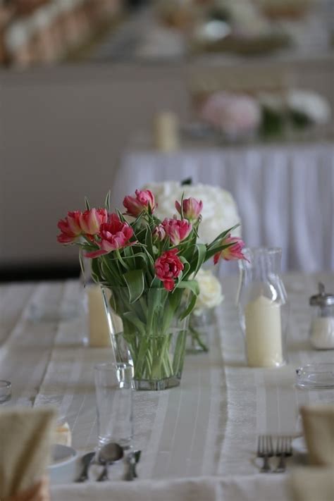 picture elegant vase pinkish carnation petal flowers flora