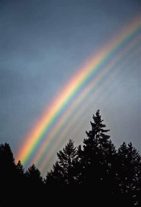 quintuple rainbow ratoptics