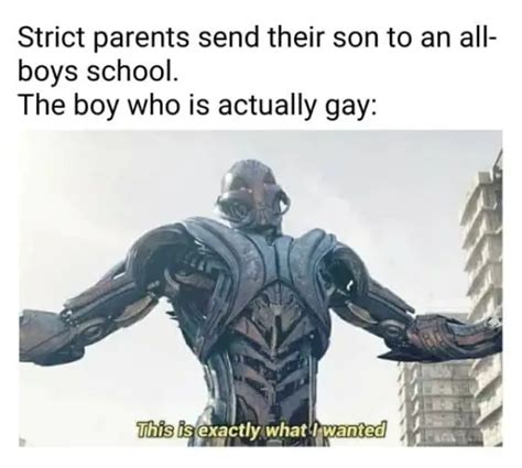 30 Best Gay Memes You Will Want To Share With Friends