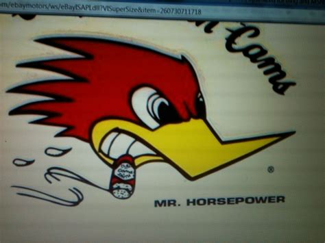 Mad Woody Woodpecker Traditional Tattoo Illustration Tattoo