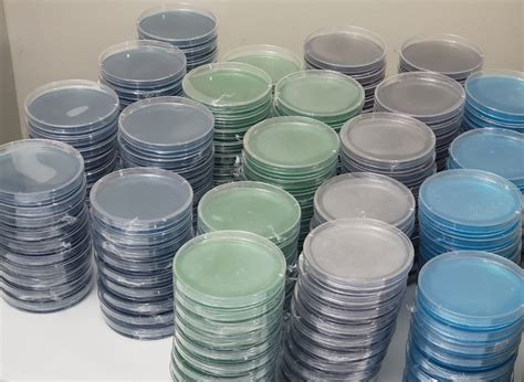 pre poured lmye  plates  fungus frequency