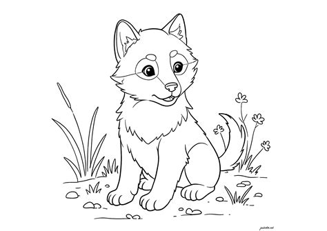 Nuku Hyvin Pieni Susi Schlaf Gut Kleiner Wolf Suo 7