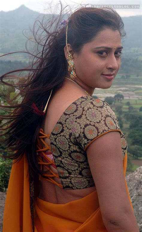 Farah Khan Telugu Actress Hot Saree Hd Movie Stills Indiancelebblog