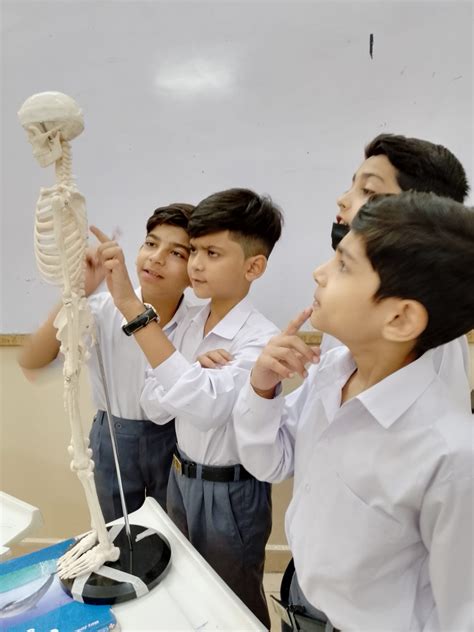 Curious little anatomists discussed the structure and function of human