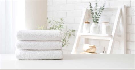 The Hidden Dangers in Your Bathroom – True Cellular Formulas®