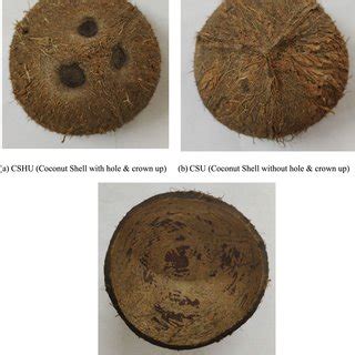 Different types and orientations of coconut shell | Download Scientific ...