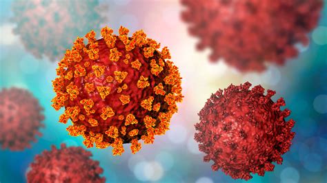 nueva variante del coronavirus experta en genomica responde