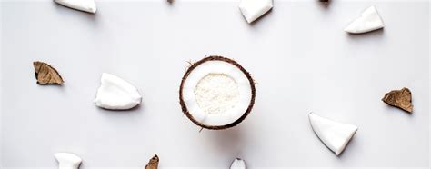 coco alimentos  saudaveis aprenda sobre  coco