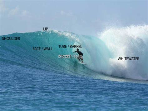 Parts Of A Wave And Reading Waves Explained For Beginner Surfers