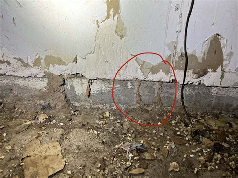 The Sentricon Termite System: What Homeowners Should Know - FullScope