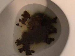 Nude Women S Toilet Excretion ThisVid