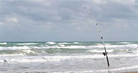 What Every Angler Should Know Before Surf Fishing Salt Action