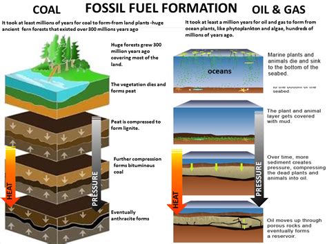 Define Fuel With Example at Robin Clark blog