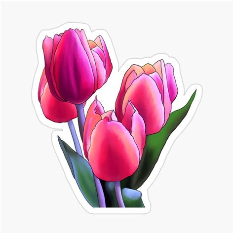 Pink Tulip Sticker For Sale By Rachelle Byers Pink Tulips Floral